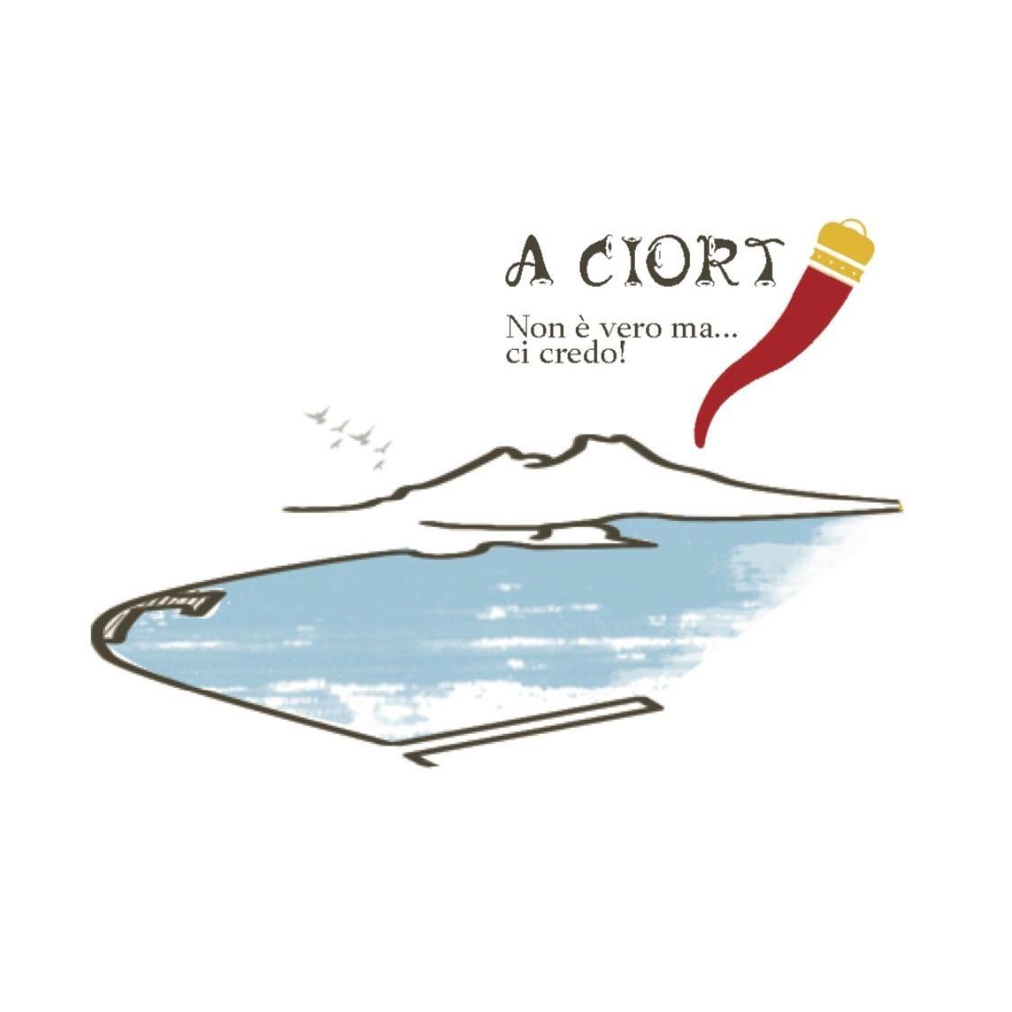 A CIORT